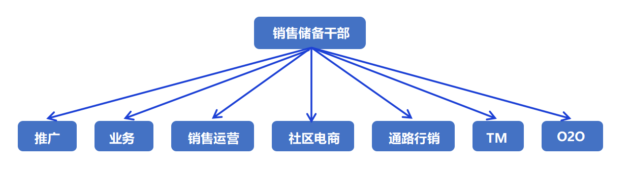 1668218194720825.png 晋升通道.png